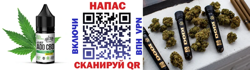 ОМГ ОМГ вход  Зерноград  Еда ТГК марихуана 