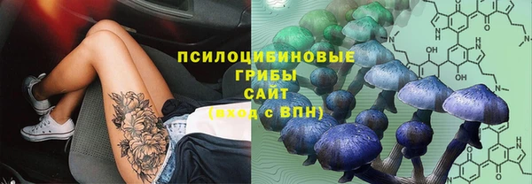 2c-b Балахна