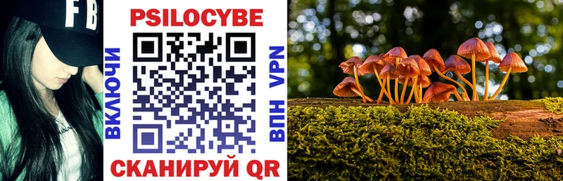 цены наркотик  Зерноград  Псилоцибиновые грибы мухоморы 